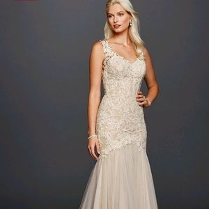 Trumpet Mermaid David's Bridal Dress